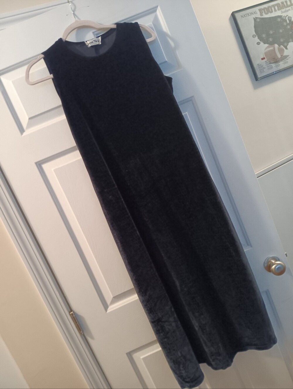 Ronni Nicole Vintage Velvet Maxi Dress